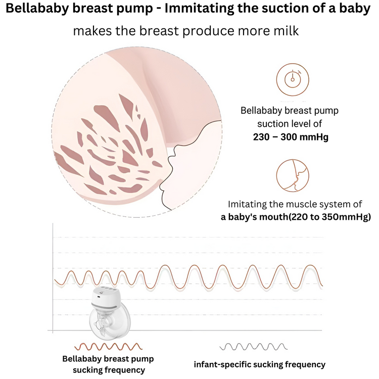 Bellababy Wearable Breast Pump Hands Free Low Noise, Breastfeeding Electric  Breast Pump Comes with 24mm Flanges, 4 Modes & 6 Levels Suction, 1PC Gray